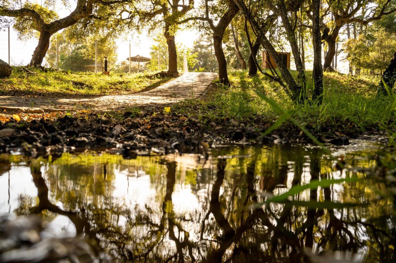 Albergue Inturjoven Cortes De La Frontera Buitenkant foto